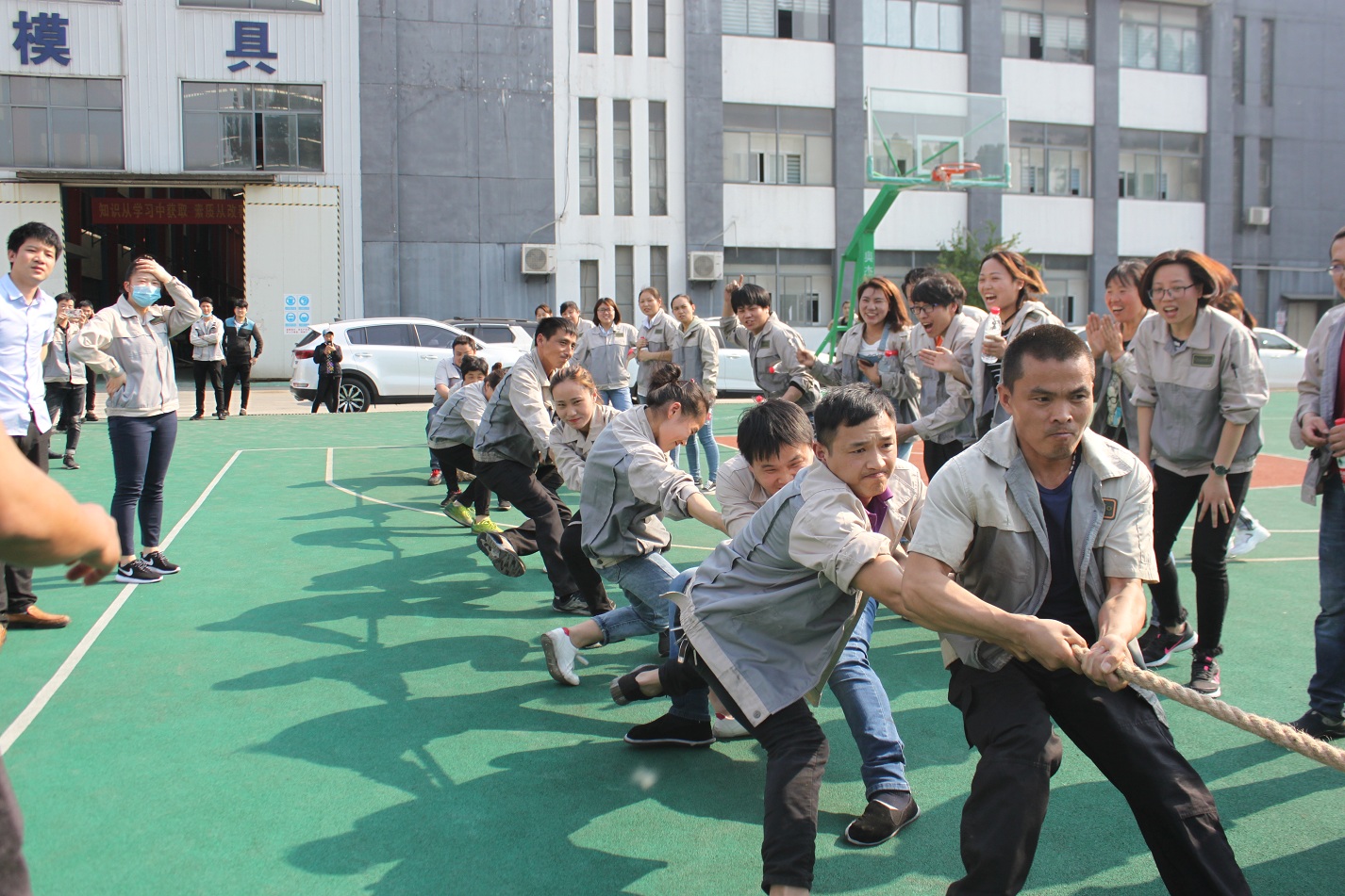 万利·(中国区)有限公司官网